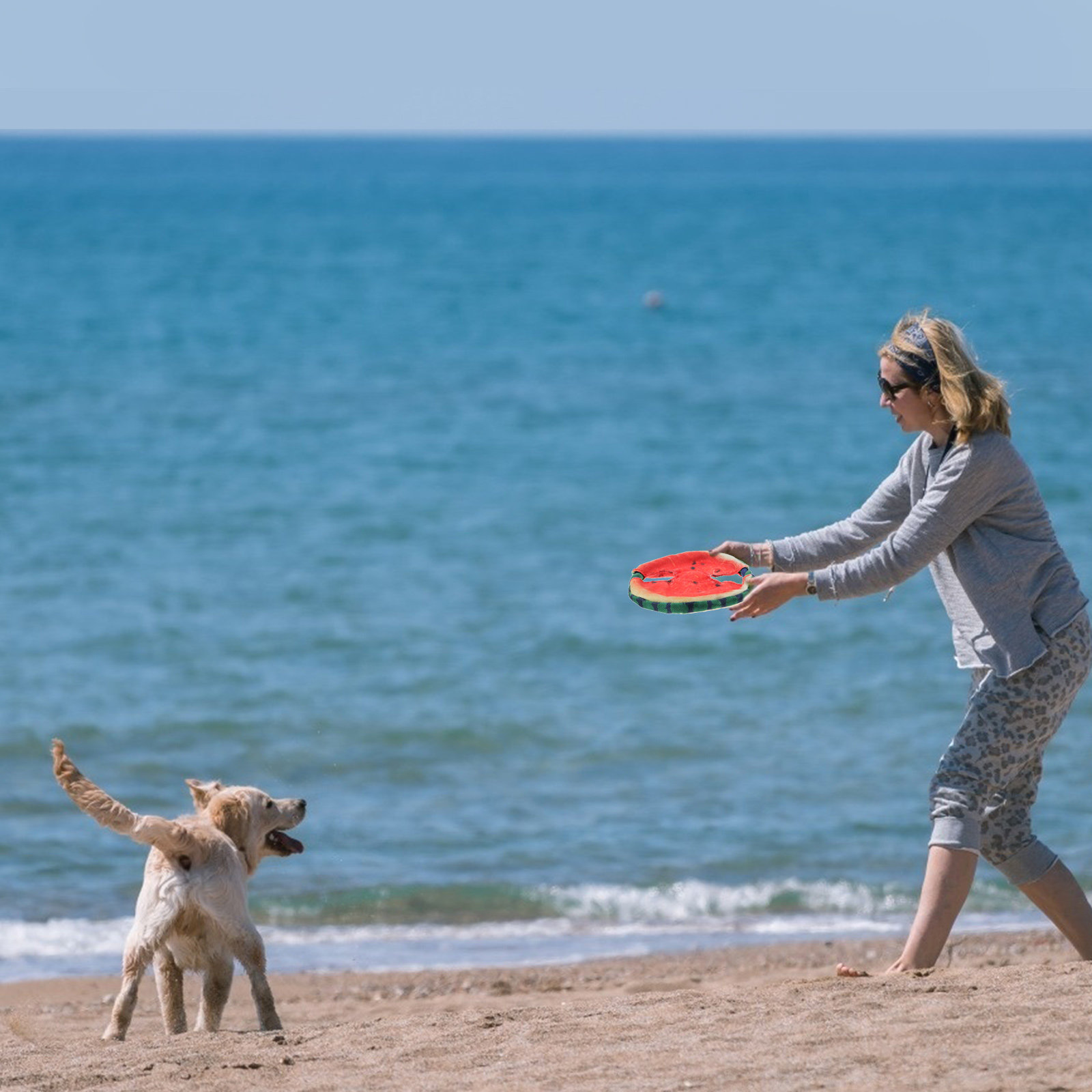 Flying Disc Dog Training Toy - Dog Flying Disc Floating Watermelon Design