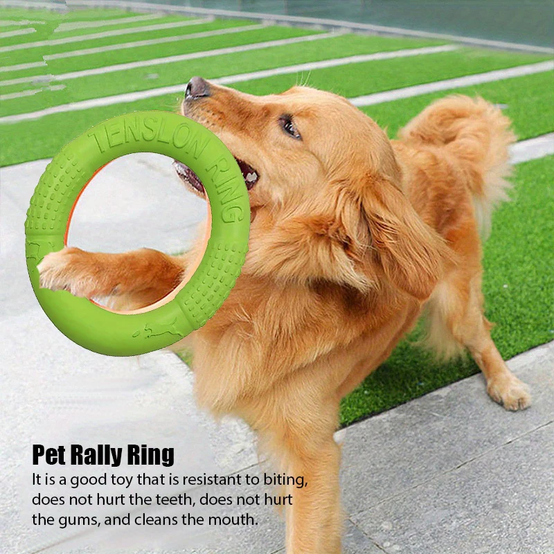 Dog Training Toys Outdoor Spor - Flying Disc Dog Training Toy recension och pris