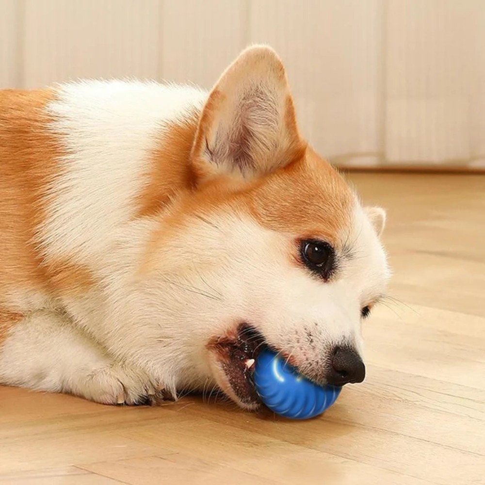 New 1pc Automatic Moving Dog T - Automatic Moving Dog Ball recension och pris