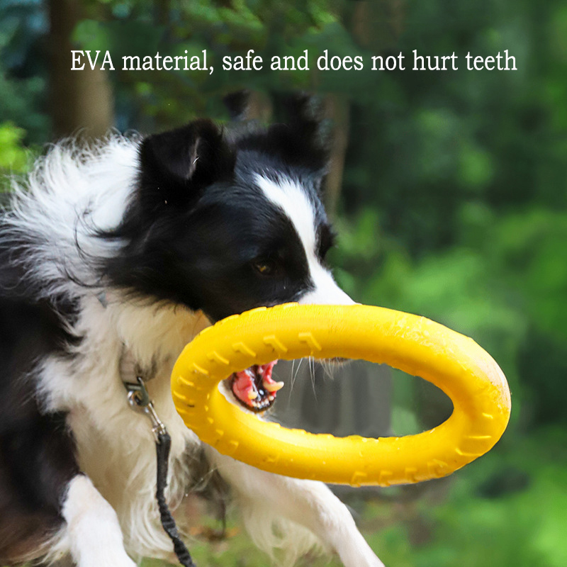 EVA Durable Dog Toys 4 Pack  F - Snuffle Mat For Dogs recension och pris
