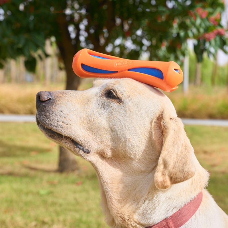 Indestructible Floating Dog Ch - Indestructible Dog Chew Toy recension och pris
