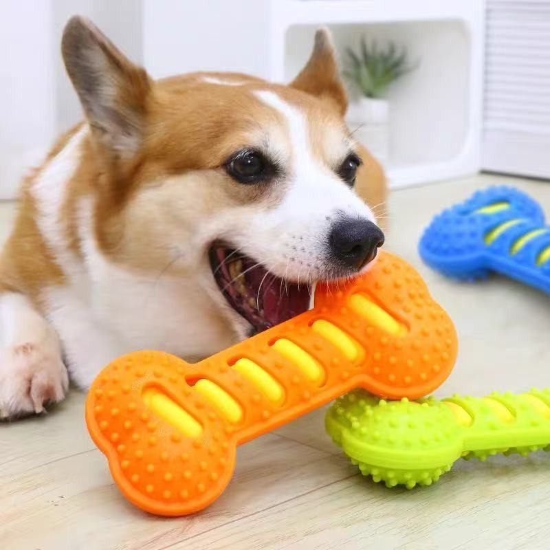 Rubber Bone Dog Molar Stick No - Teeth Cleaning Dog Chew Bone recension och pris