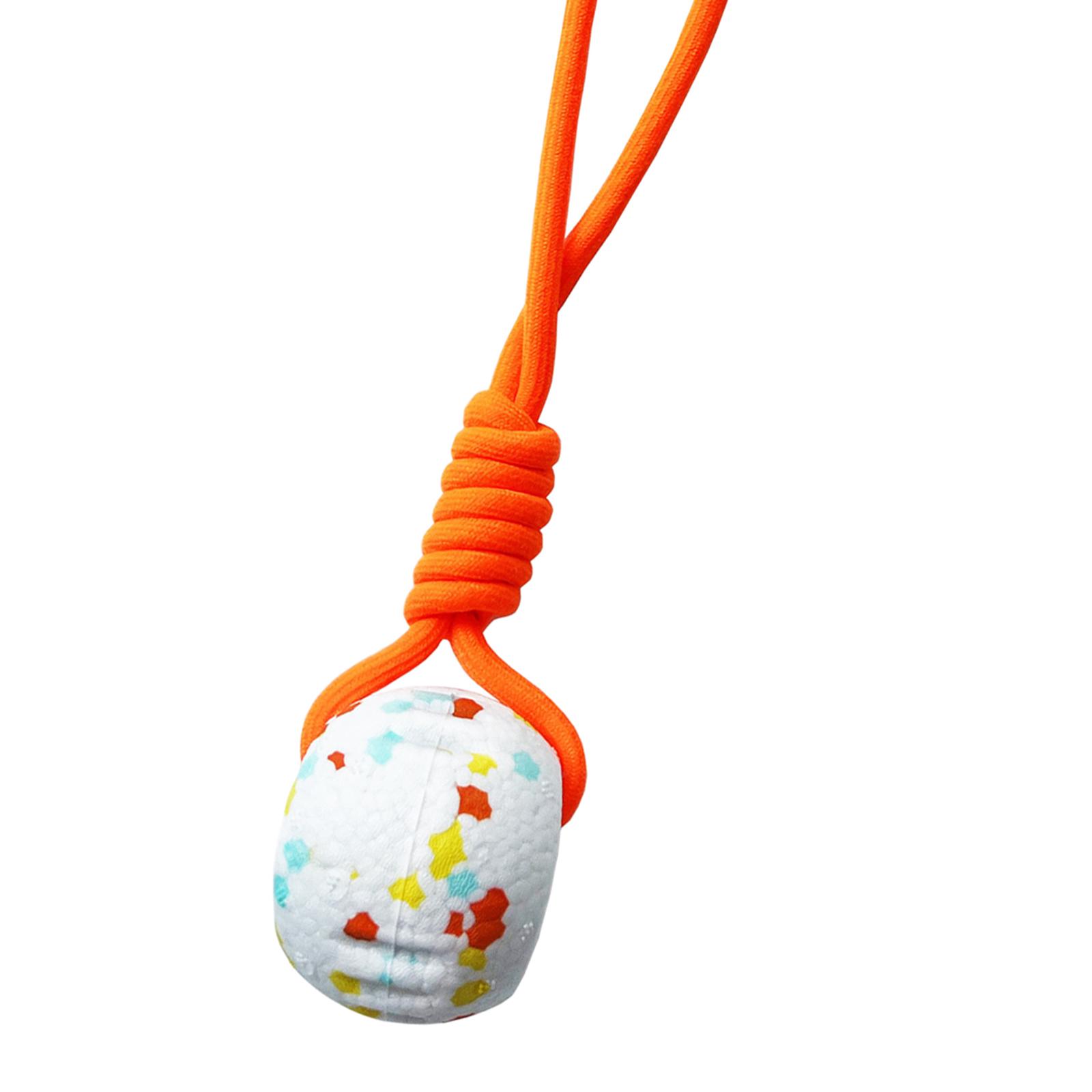 Cotton Rope Dog Ball Toy for F - Dog Rope Toy Aggressive Chewers recension och pris