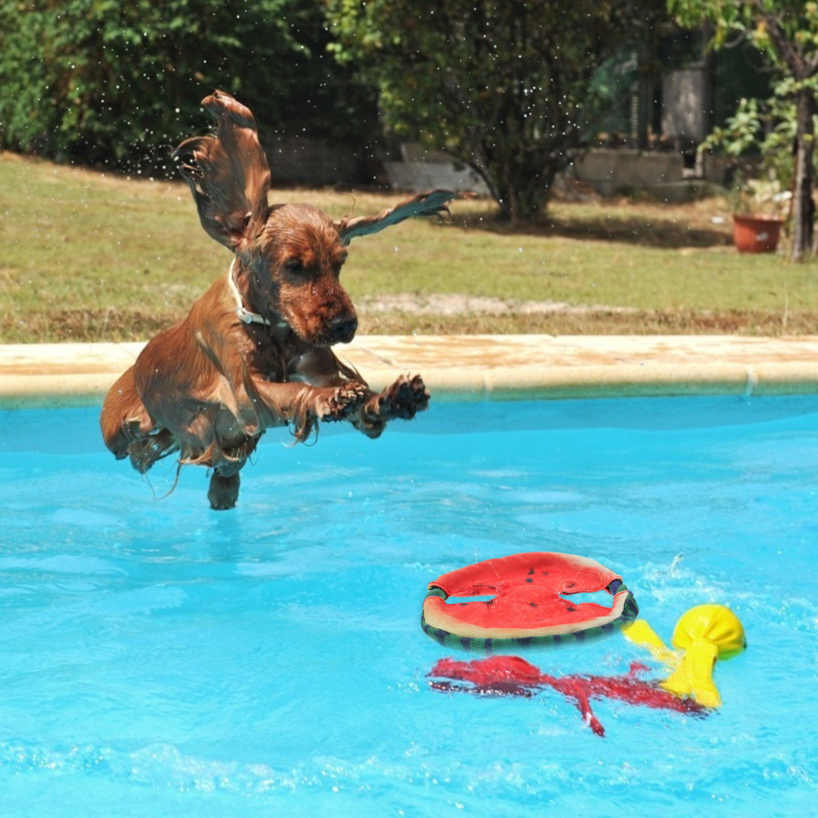 Dog Flying Disc Floating Water - Flying Disc Dog Training Toy recension och pris