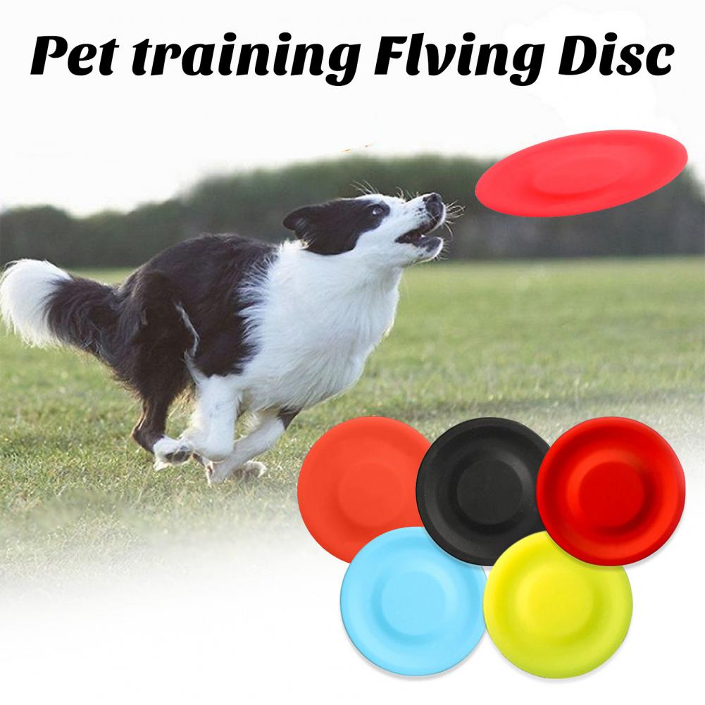Pet Dog Flying Disk Toy，Silica - Flying Disc Dog Training Toy recension och pris