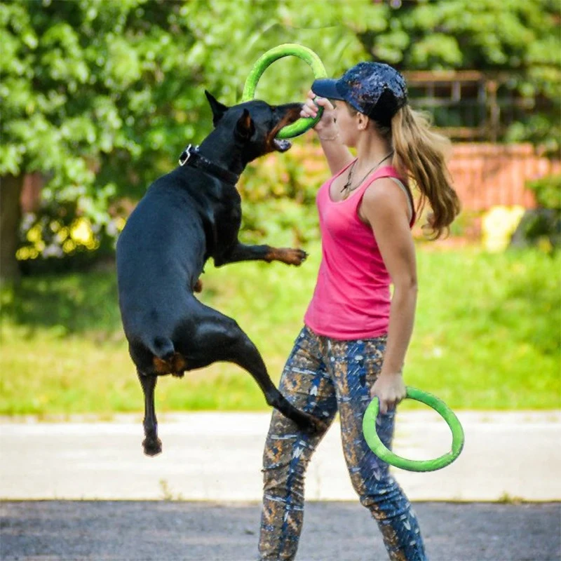 Dog Toys Pet Flying Discs EVA  - Indestructible Dog Chew Toy recension och pris