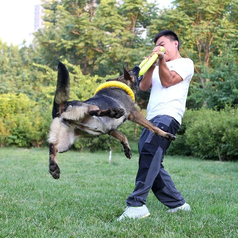 Dog Toys Pet Flying Discs EVA  - Indestructible Dog Chew Toy recension och pris