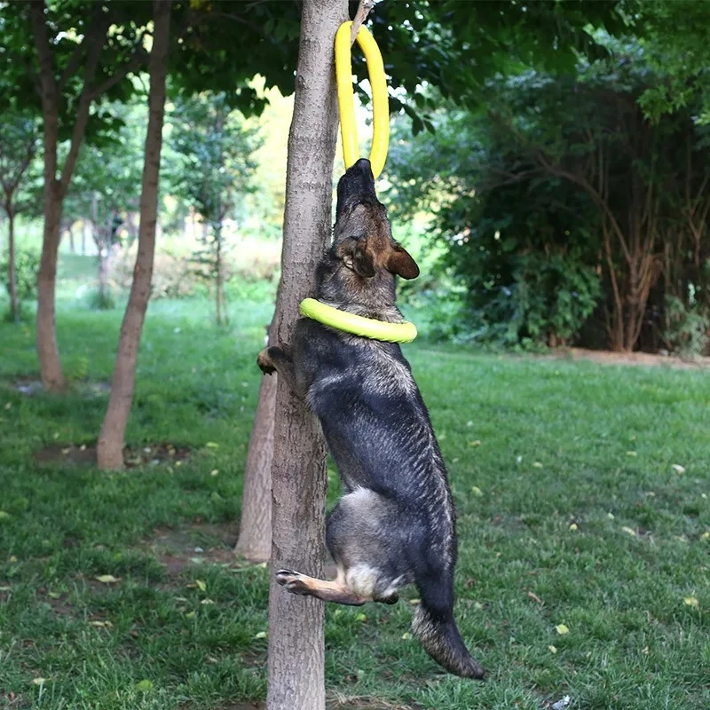 Dog Toys Pet Flying Discs EVA  - Indestructible Dog Chew Toy recension och pris
