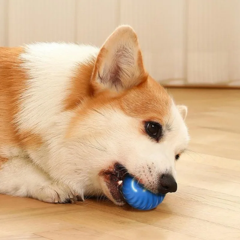 @1G-Pet Toy Ball Automatic Mov - Automatic Moving Dog Ball recension och pris