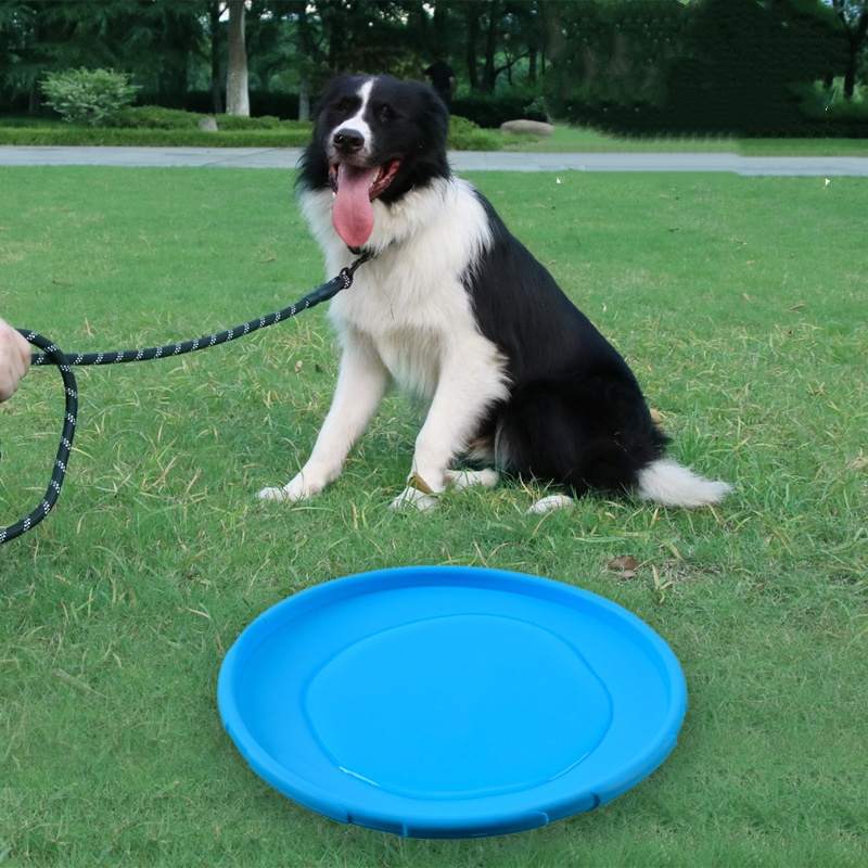 Interactive Silicone Flying Sa - Flying Disc Dog Training Toy recension och pris