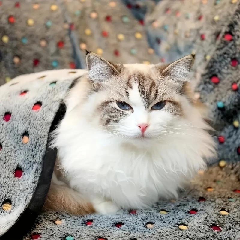 3PCS Soft Fluffy Pet Blanket C - Pet Beds recension och pris
